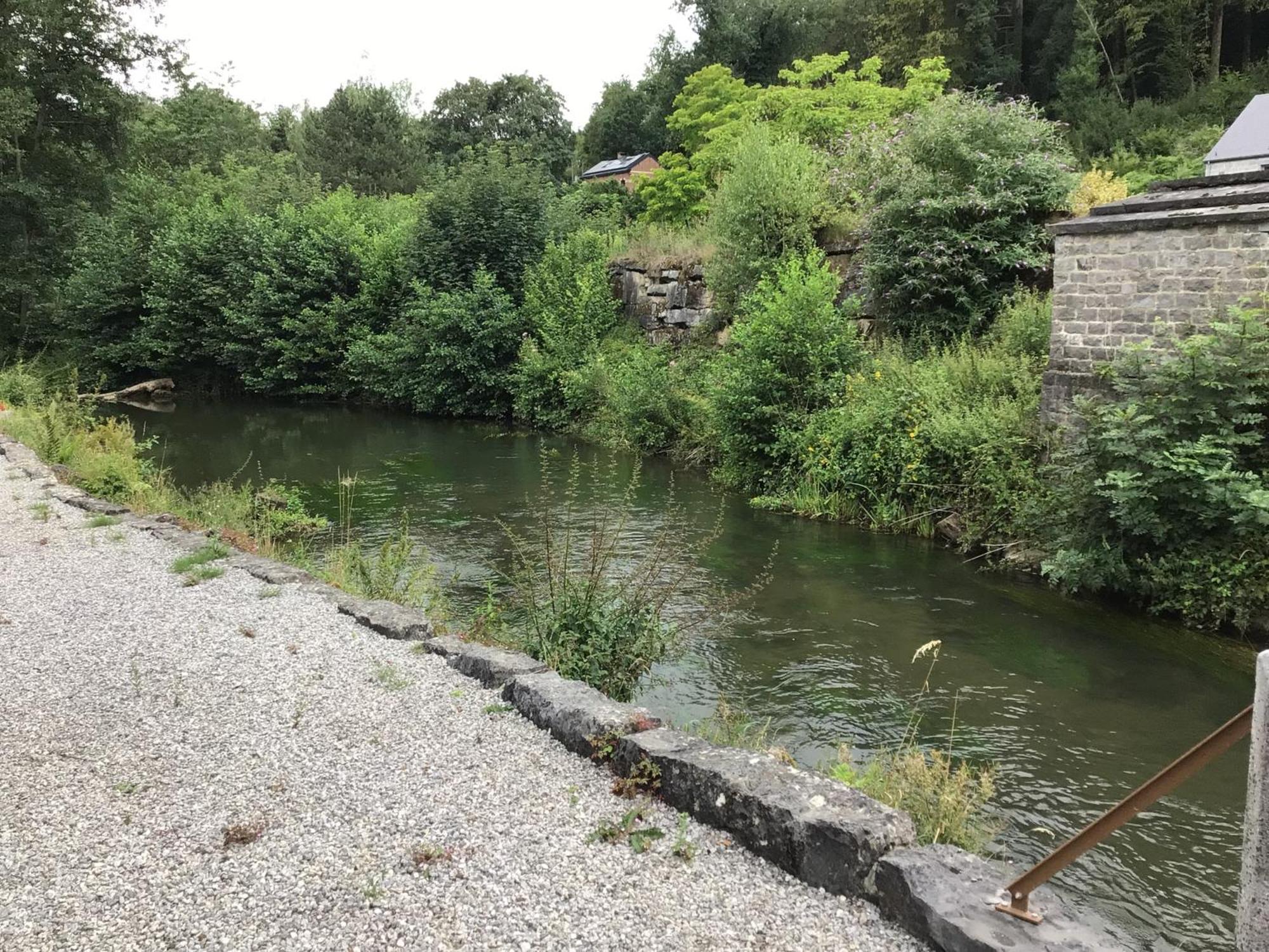 Villa L'Eau Et La Pierre à Yvoir Extérieur photo